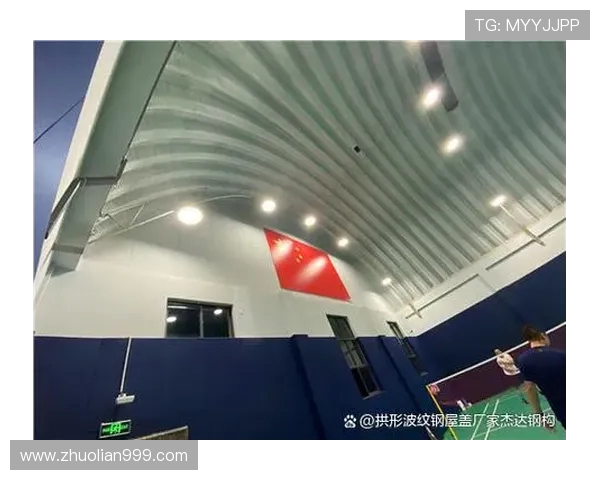 深水之跃展现竞技魅力的跳水运动全景解析与训练探索技战术实践法