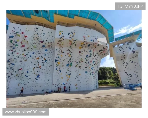 广州攀岩队的运营策略与发展模式深度分析与解读